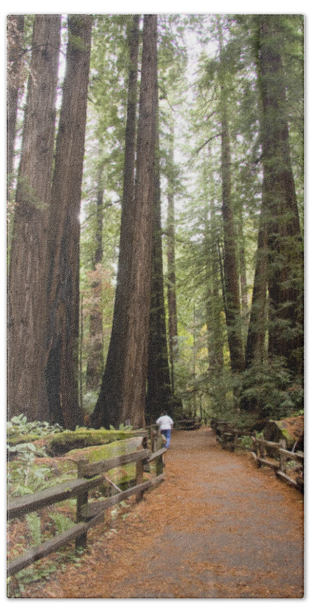 Muir Woods Beach Towel featuring the photograph Redwood Trees by Sue Leonard
