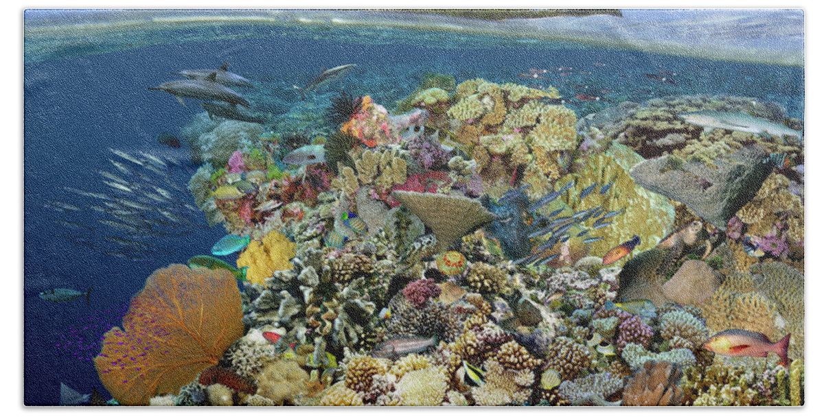 Marine Life Beach Towel featuring the digital art Reef Magic by Artesub