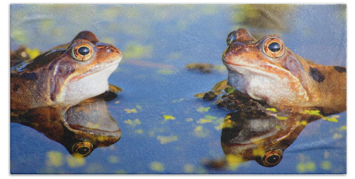 Frog Beach Towel featuring the photograph Reflections by Chris Smith