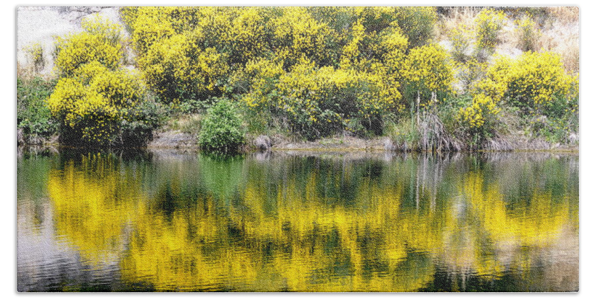 Scenic Beach Towel featuring the photograph Reflections of Yellow by AJ Schibig