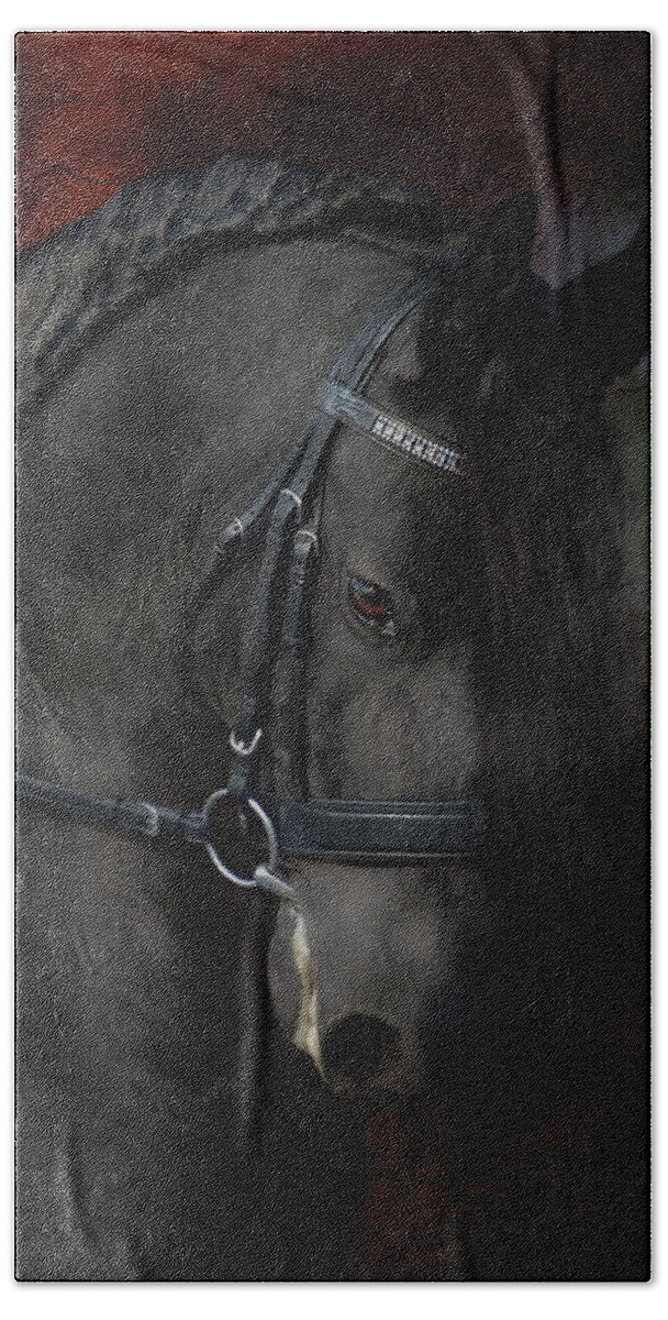 Horses Beach Towel featuring the photograph Rembrandt by Fran J Scott