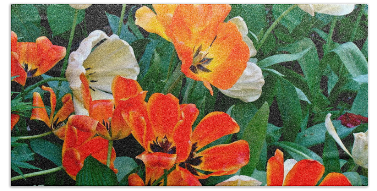 Tulips Beach Sheet featuring the photograph Rembrant's Garden by Ira Shander