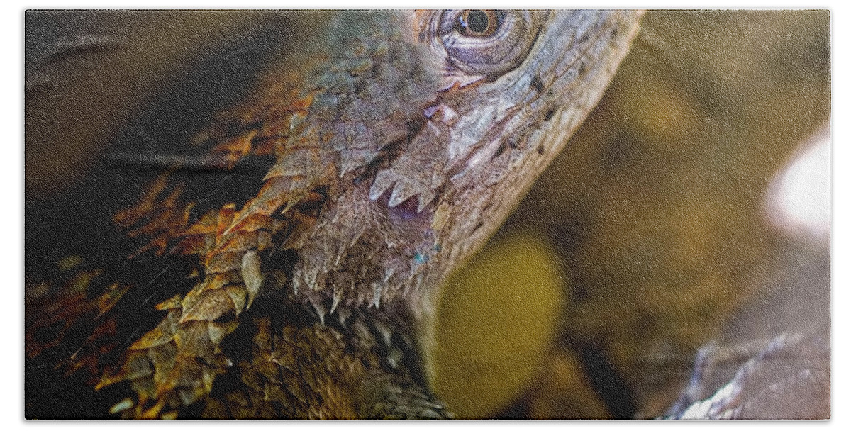 Reptile Eye Beach Towel featuring the photograph Reptile Eye by Gary Holmes