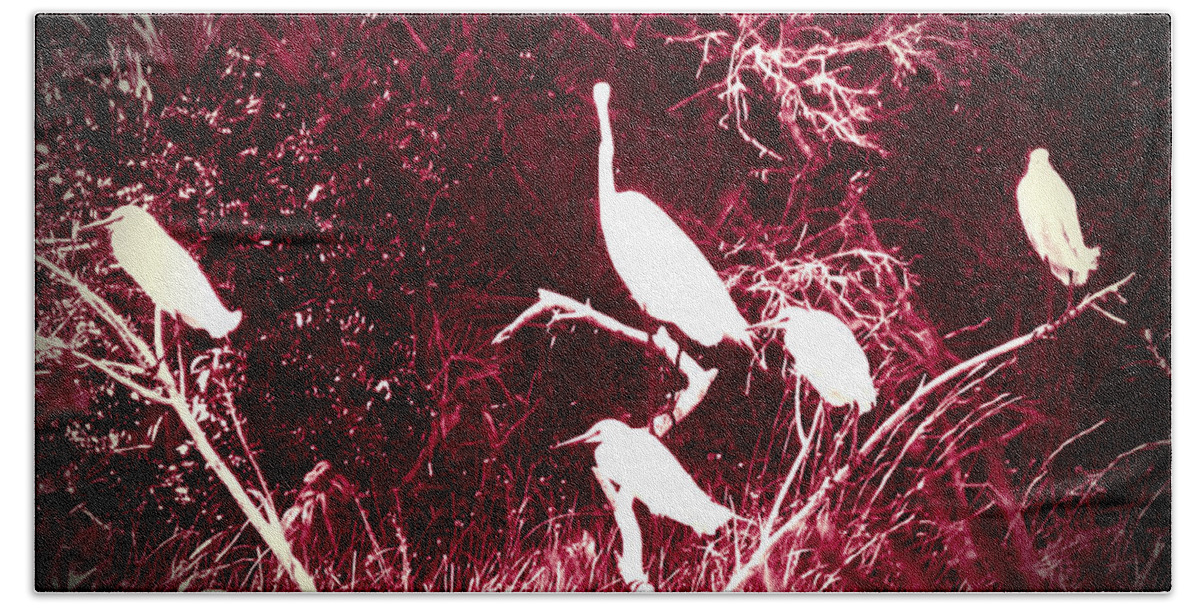 Color Beach Towel featuring the photograph Resting Flock Pink by Anita Lewis