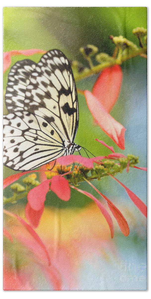 Macro Beach Towel featuring the photograph Rice Paper Butterfly in the Garden by Sabrina L Ryan