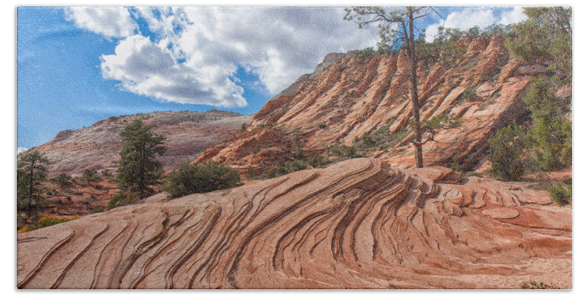 Nature Beach Towel featuring the photograph Rippled Rock at Zion National Park by John M Bailey