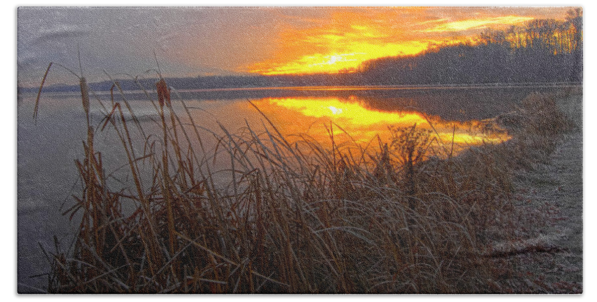 Cattails N Shoreline On Lake At Sunrise Beach Towel featuring the photograph Rising Sunlights Up Shore Line Of Cattails by Randall Branham