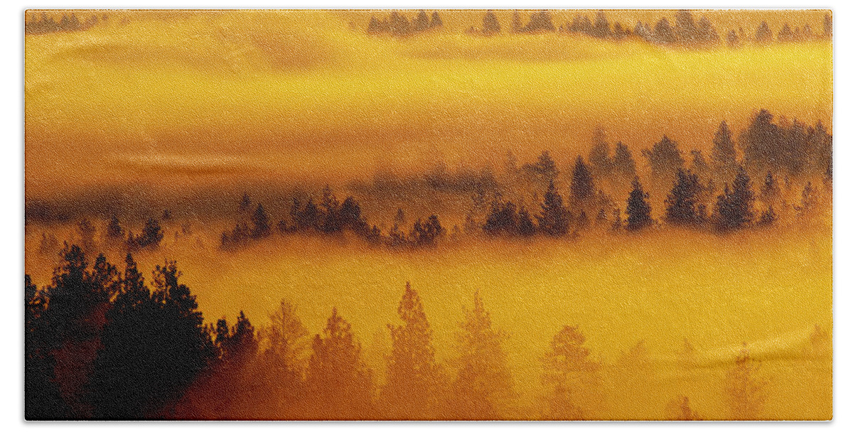 Fog Beach Towel featuring the photograph River Fog Rising by Ben Upham III