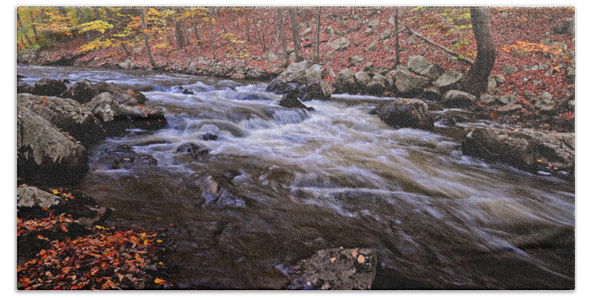 River Beach Towel featuring the photograph River of Color by Dave Mills