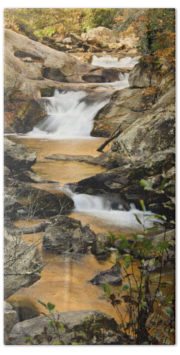 Autumn Beach Towel featuring the photograph River of Gold by Penny Lisowski