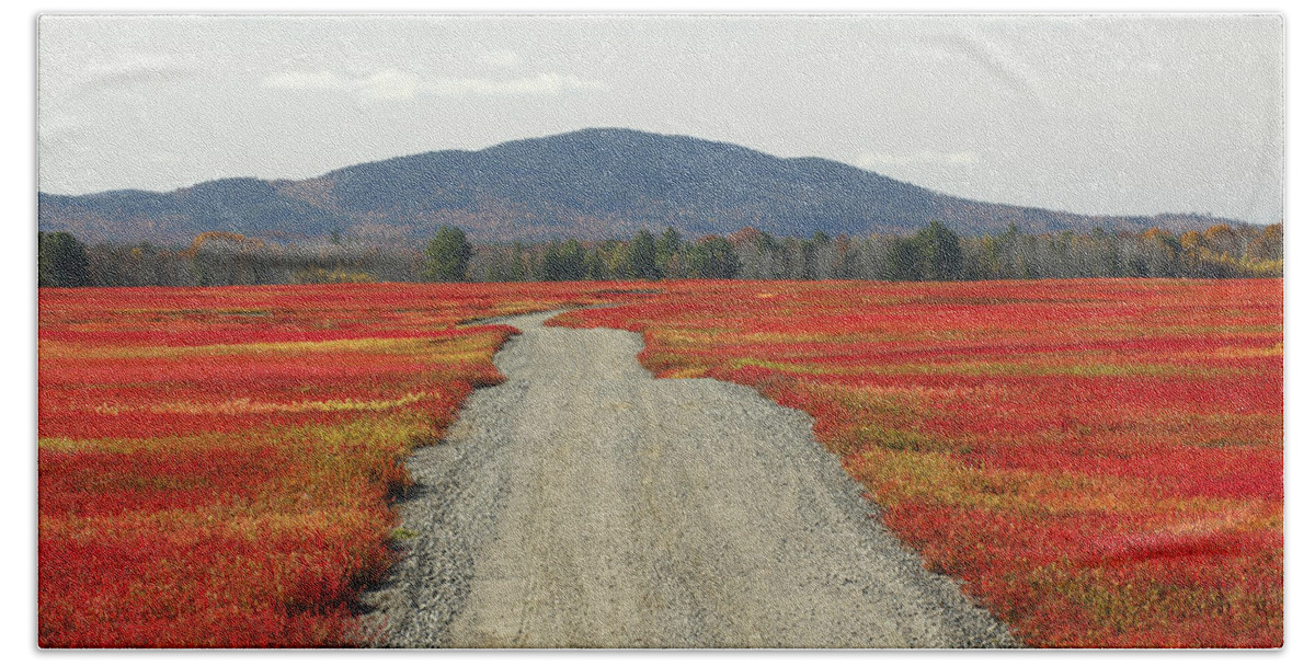 Feb0514 Beach Towel featuring the photograph Road Through Autumn Blueberry Maine by Scott Leslie