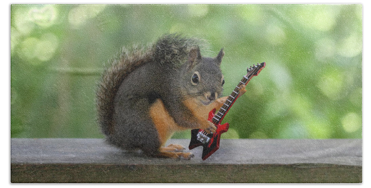 Squirrel Beach Towel featuring the photograph Rock 'n Roll Squirrel by Peggy Collins