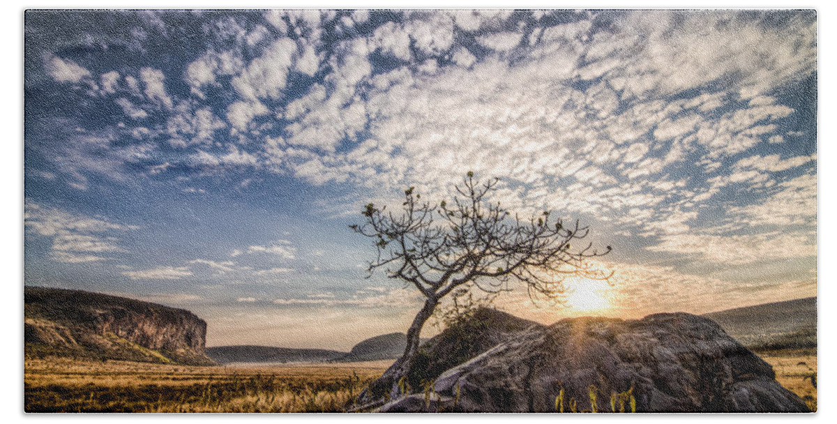 Africa Beach Towel featuring the photograph Rock Tree and Rising Sun by Mike Gaudaur