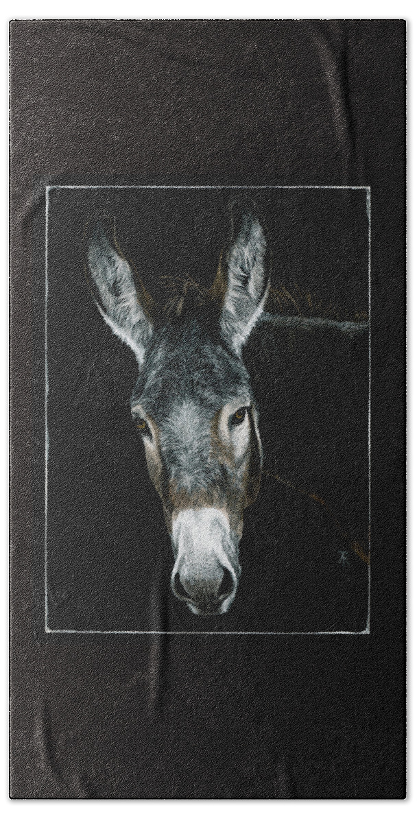 Donkey Beach Towel featuring the drawing Rocky by Ann Ranlett