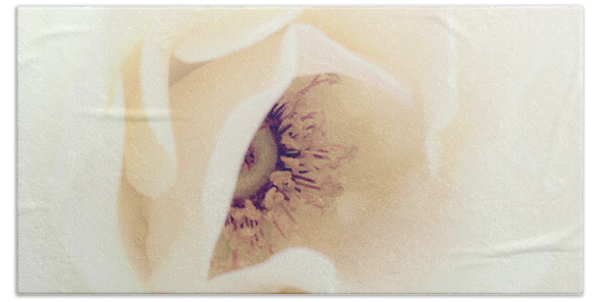 Love Beach Towel featuring the photograph Romance in a Rose by Spikey Mouse Photography