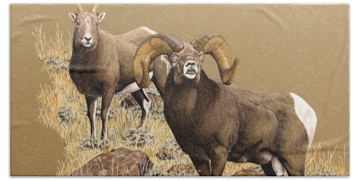 Rocky Mountain Bighorn Ram Beach Sheet featuring the painting Romeo by Darcy Tate