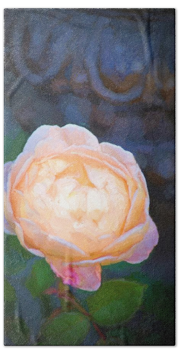 Floral Beach Towel featuring the photograph Rose 325 by Pamela Cooper