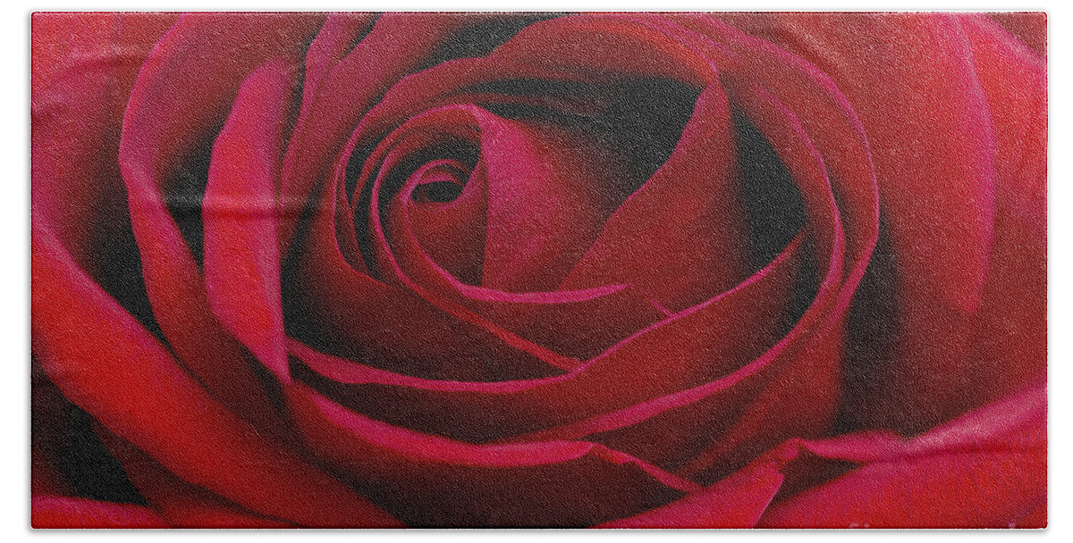 Pacific Beach Sheet featuring the photograph Eye Of The Rose #3 by Nick Boren