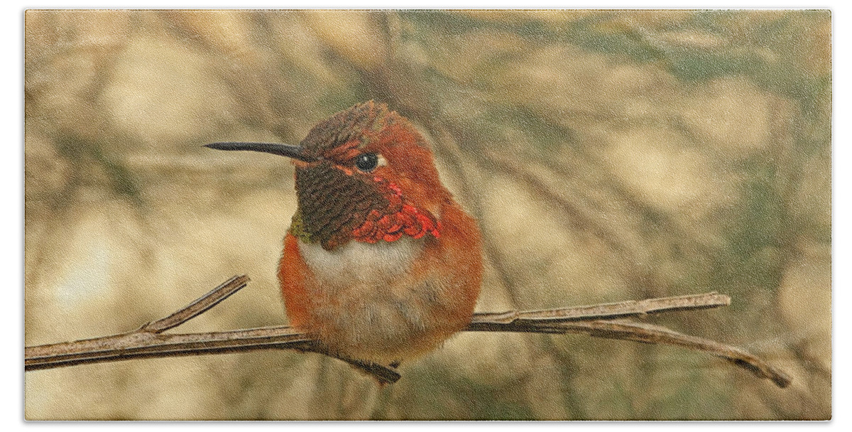Hummingbirds Beach Towel featuring the photograph Rufous Hummingbird Sitting by Peggy Collins