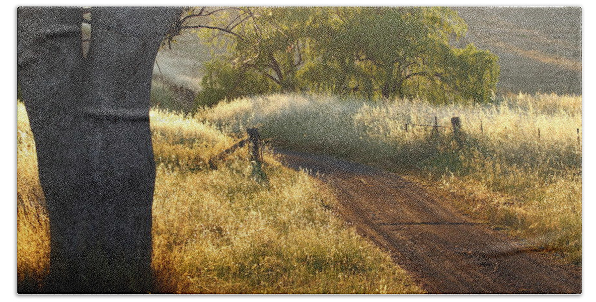 Nsw Beach Towel featuring the photograph Rural Road 2AM-009691 by Andrew McInnes