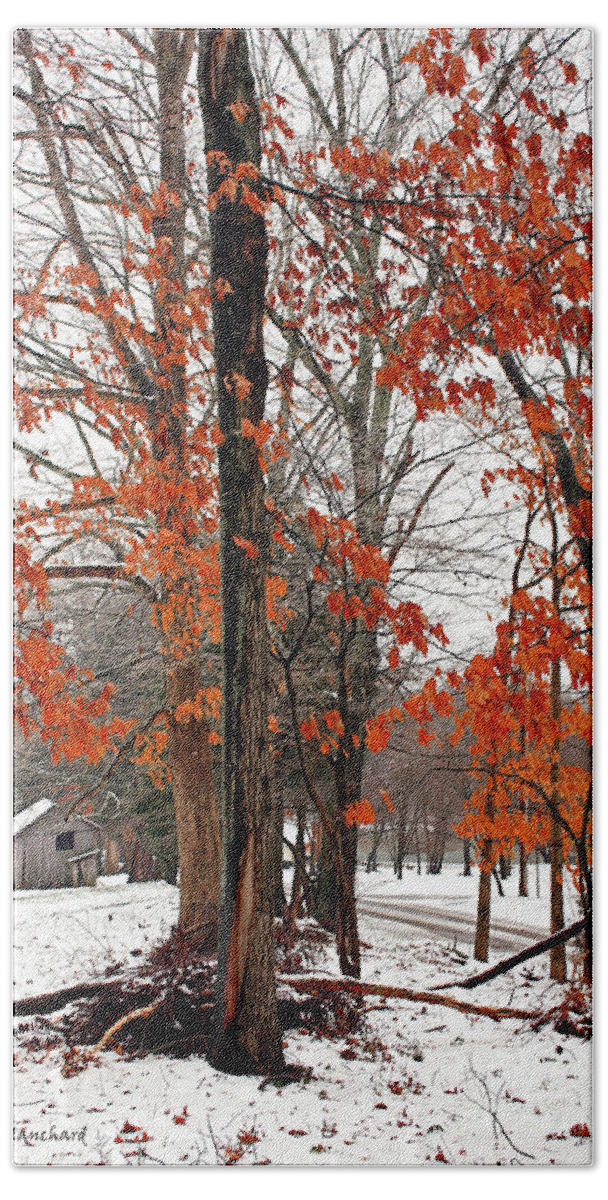 Landscape Beach Towel featuring the photograph Rustic Winter by Todd Blanchard