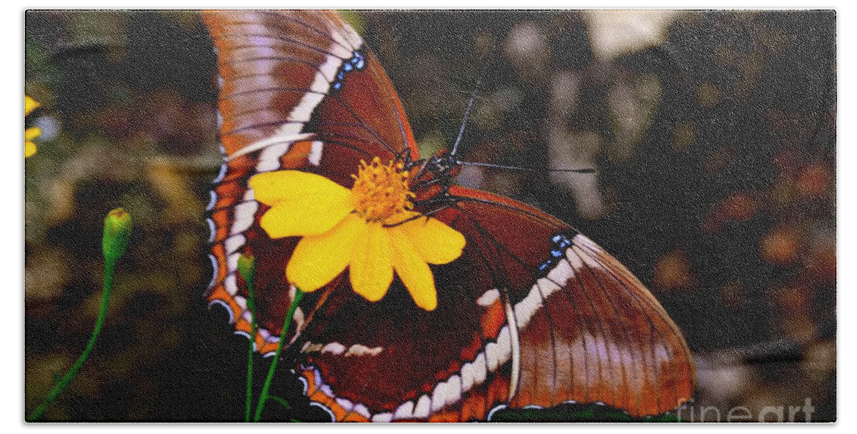 Yellow Flower Beach Towel featuring the photograph Rusty-tipped Page Butterfly by AnnaJo Vahle