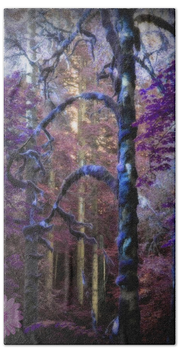 Fantasy Beach Towel featuring the photograph Sacred Forest by Amanda Eberly