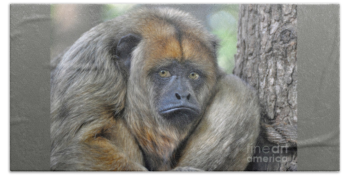 Howler Monkey Beach Sheet featuring the photograph Sad Monkey by Savannah Gibbs