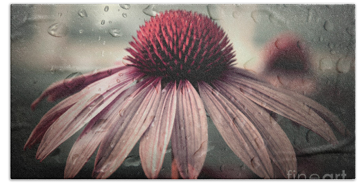 Flower Beach Towel featuring the photograph Sad Solitude by Aimelle Ml