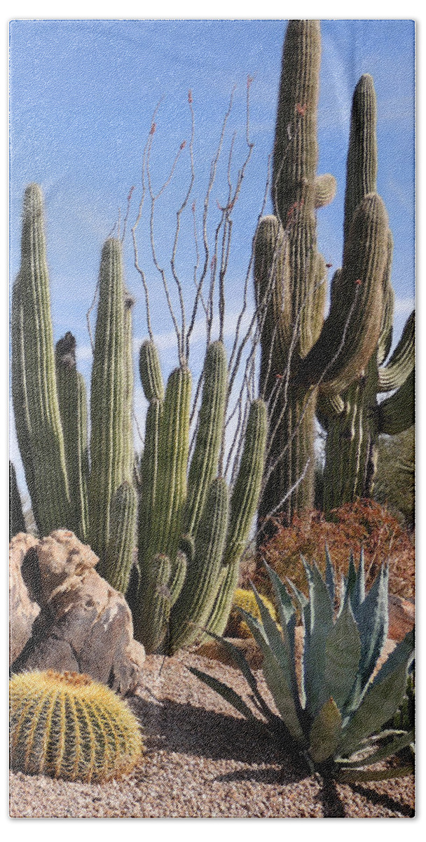 Cactus Beach Towel featuring the photograph Saguaros and Such by Gordon Beck