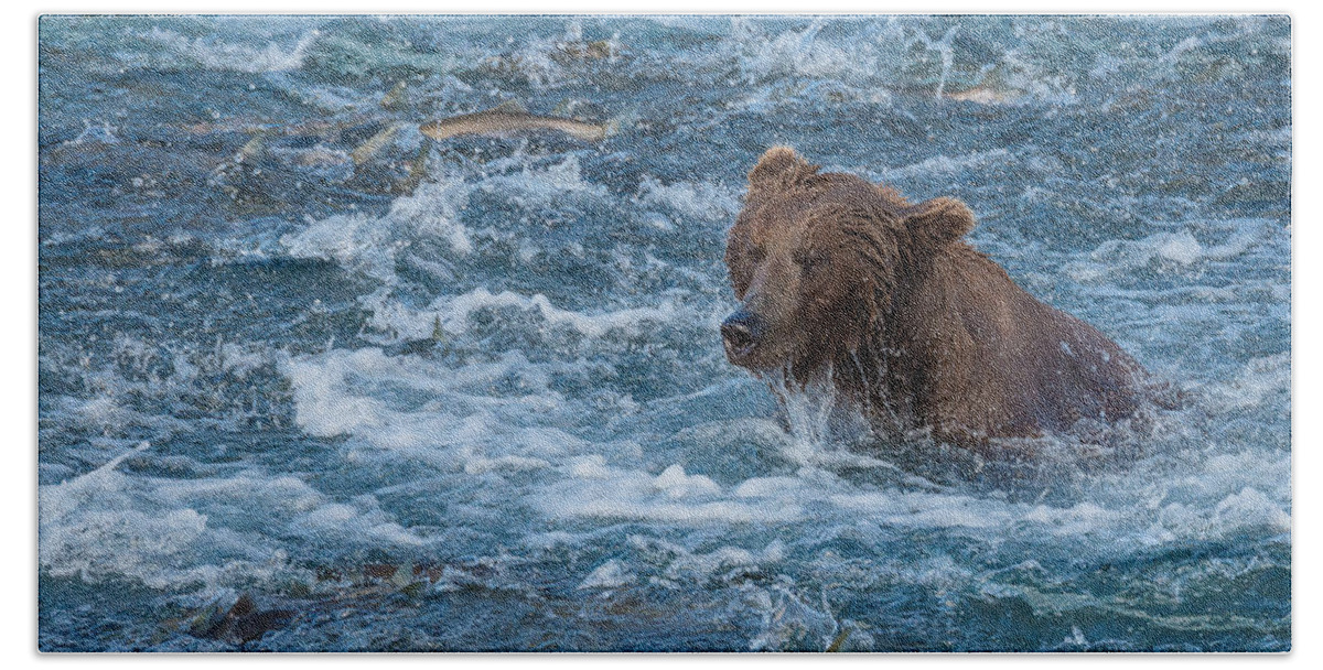 Alaska Beach Towel featuring the photograph Salmon salmon everywhere by Joan Wallner