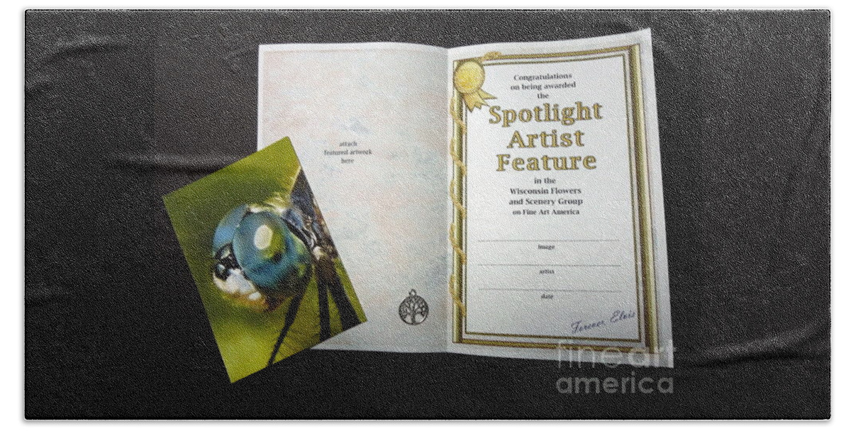  Beach Towel featuring the photograph Sample Certificate for WFS by Renee Trenholm