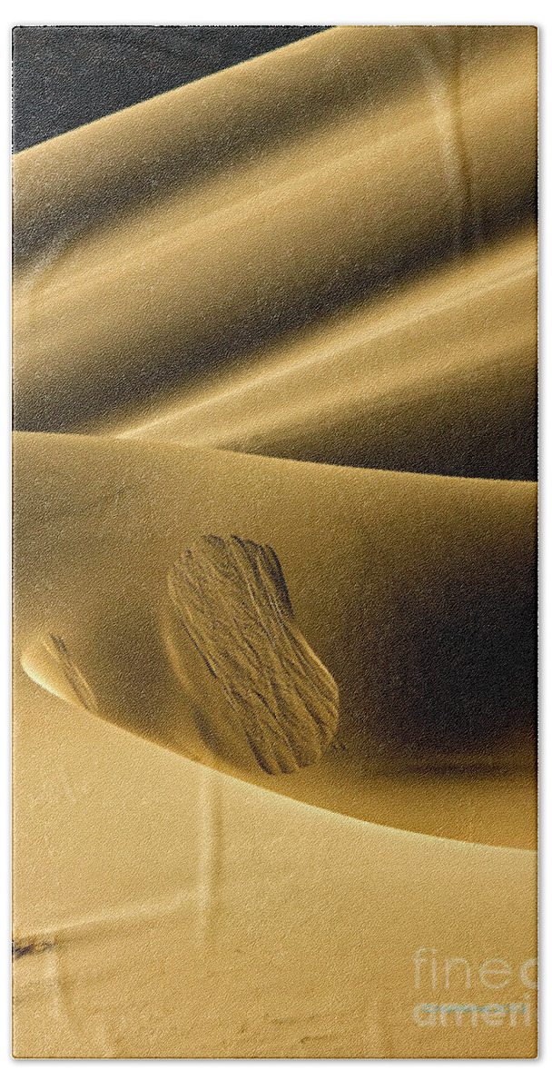 Sand Dunes Beach Sheet featuring the photograph Sand Avalanche by Michael Cinnamond