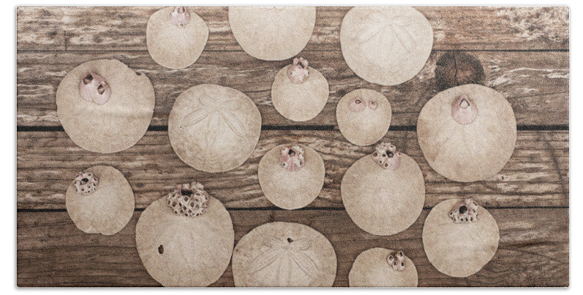 Sand Dollars Beach Sheet featuring the photograph Sand Dollar Collection by Art Block Collections