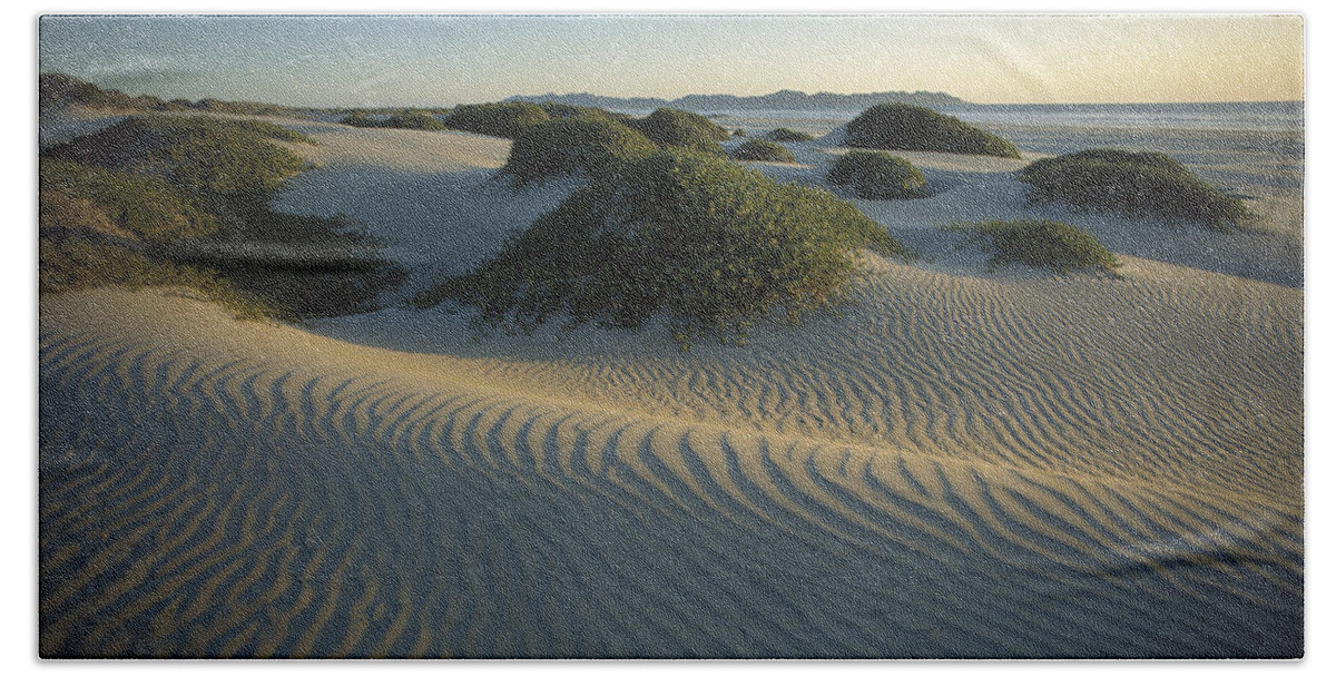 Feb0514 Beach Towel featuring the photograph Sand Dunes Magdalena Island Baja by Tui De Roy
