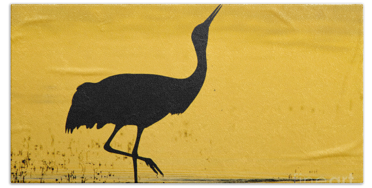 Sandhill Crane Beach Sheet featuring the photograph Sandhill crane silhouette by Bryan Keil