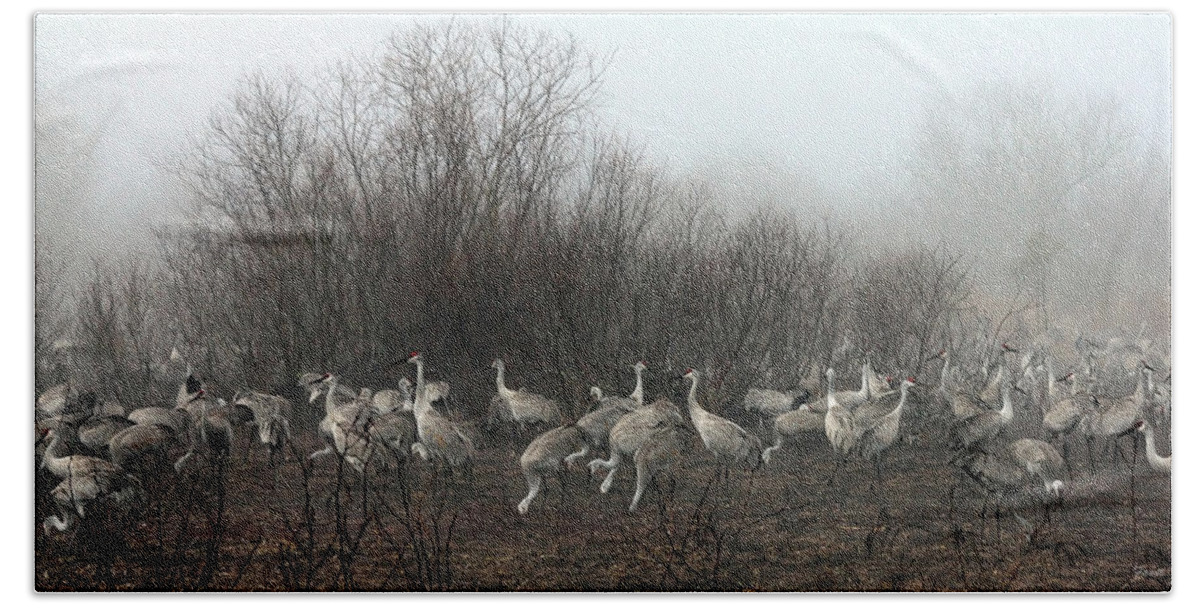 Sandhill Beach Towel featuring the photograph Sandhill Cranes in the Fog by Farol Tomson