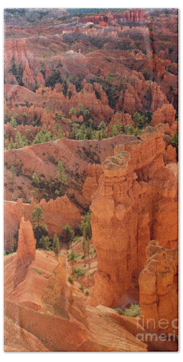 North America Beach Towel featuring the photograph Sandstone Hoodoos At Sunrise Bryce Canyon National Park Utah by Dave Welling