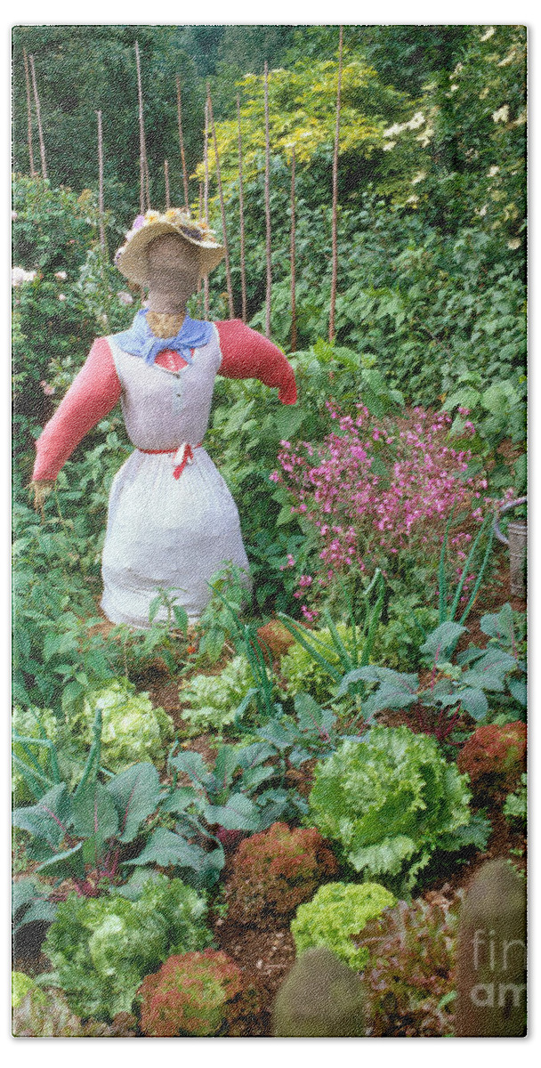 Plant Beach Towel featuring the photograph Scarecrow In Vegetable Garden by Hans Reinhard
