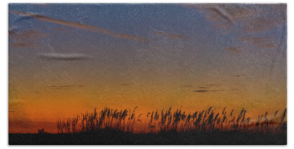 Beach Beach Towel featuring the photograph Sea Oats at Twilight by Ed Gleichman