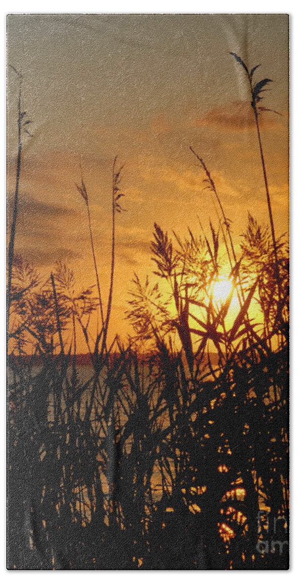 Portrait Beach Sheet featuring the photograph Seagrass by Sami Martin