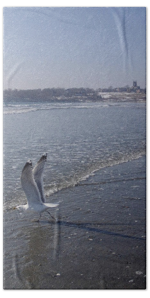 Seagull Beach Sheet featuring the photograph Seagull 1 by Robert Nickologianis