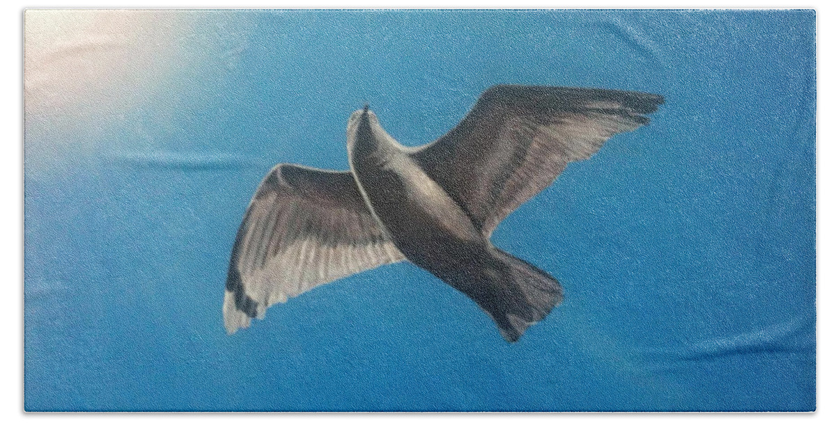 New Hampshire Beach Towel featuring the painting Seagull in flight by Barbara Andrews