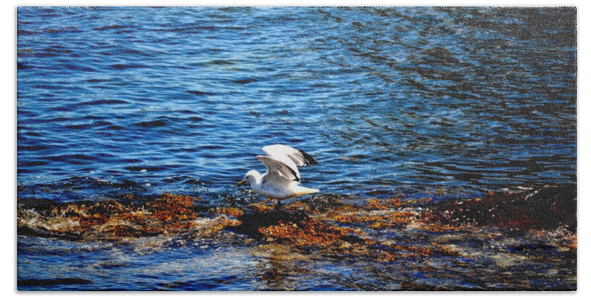 Seagull Beach Towel featuring the photograph Seagull Wings Lifted by Tara Potts