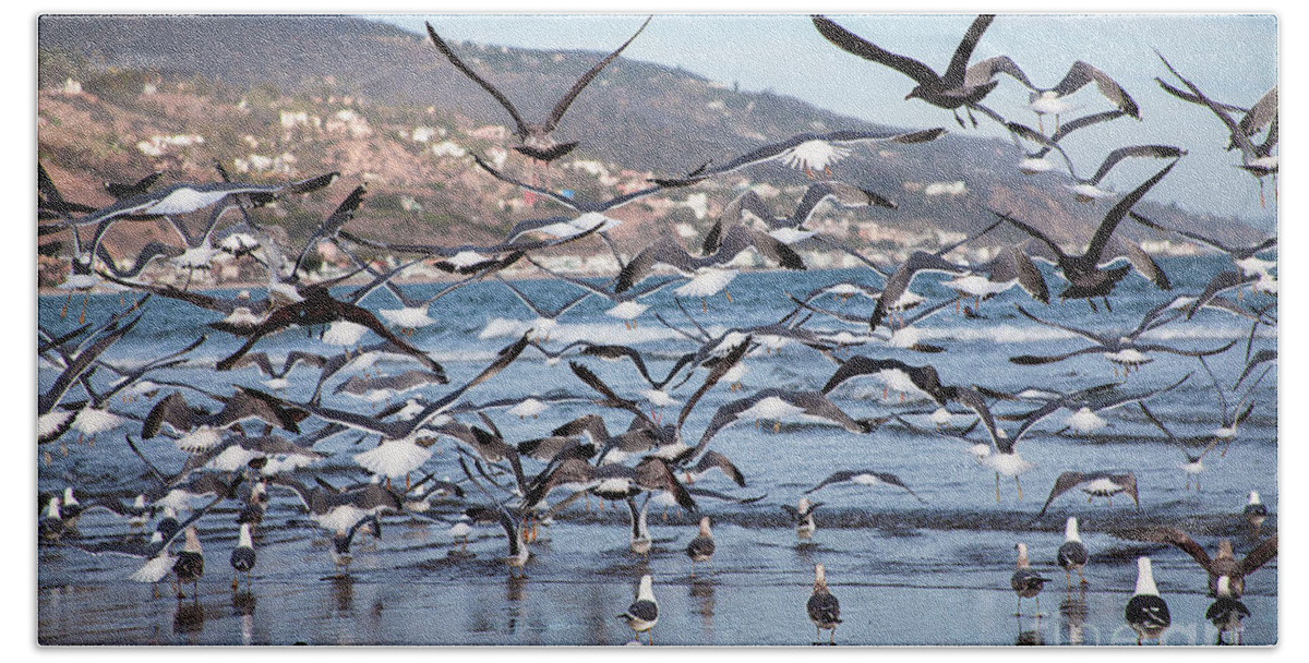 Seagulls Photographs Beach Sheet featuring the photograph Seagulls Seagulls And More Seagulls by Jerry Cowart