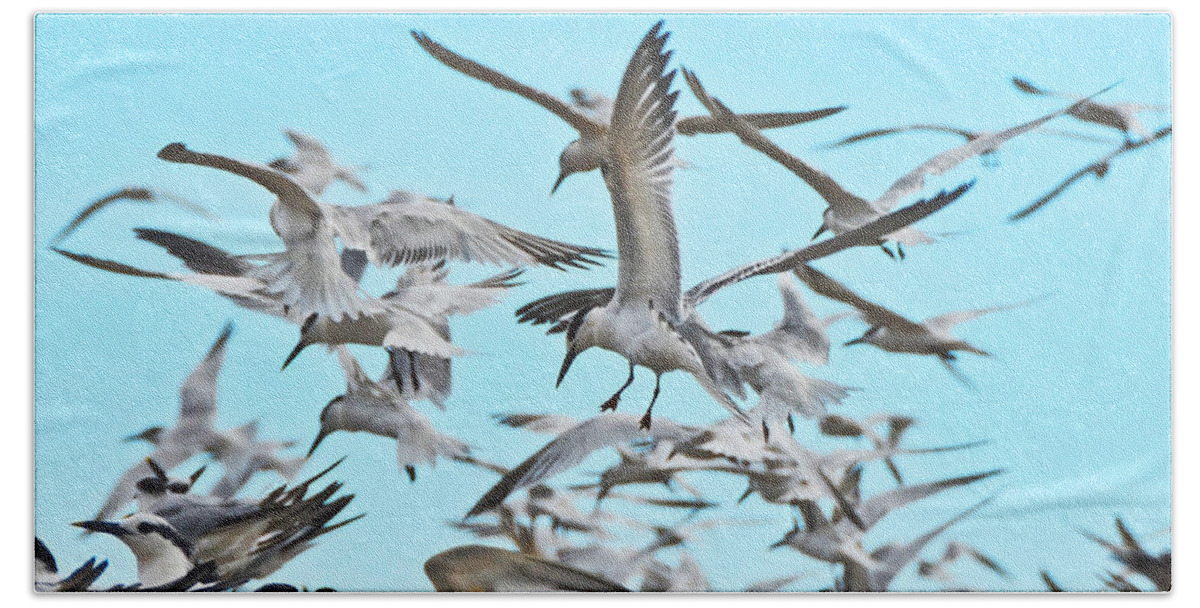 Seagulls Beach Towel featuring the photograph Seagulls Taking Flight by Carla Parris