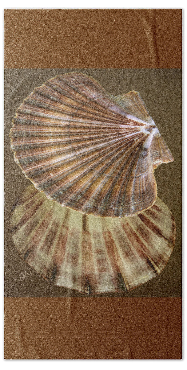 Seashell Beach Sheet featuring the photograph Seashells Spectacular No 54 by Ben and Raisa Gertsberg
