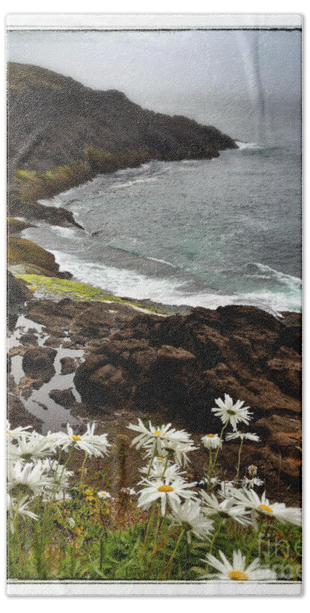 Beautiful Beach Towel featuring the photograph Seaside Daisies by Venetta Archer