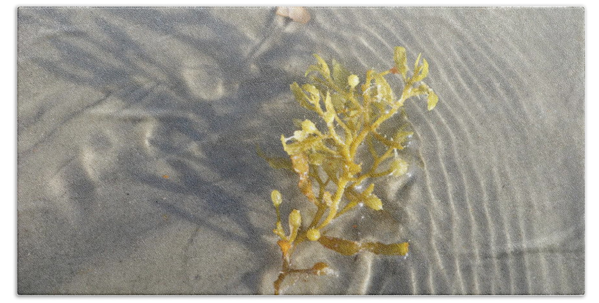 Landscape Beach Towel featuring the photograph Seaweed Sand by Ellen Meakin