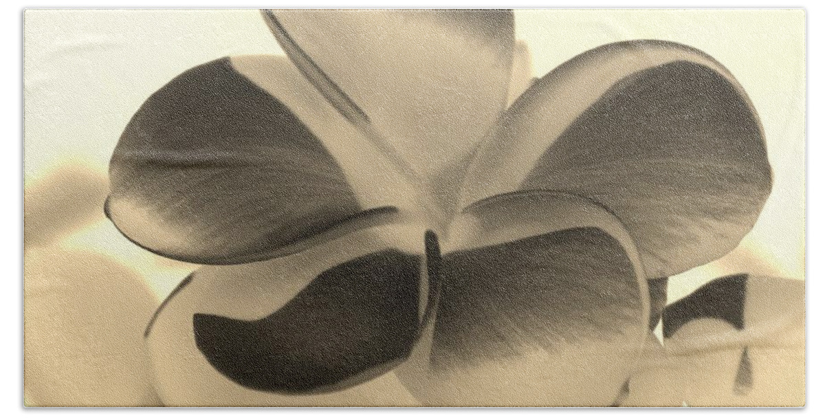 Flowers Beach Towel featuring the photograph Sepia Bloom Negative by Rob Hans